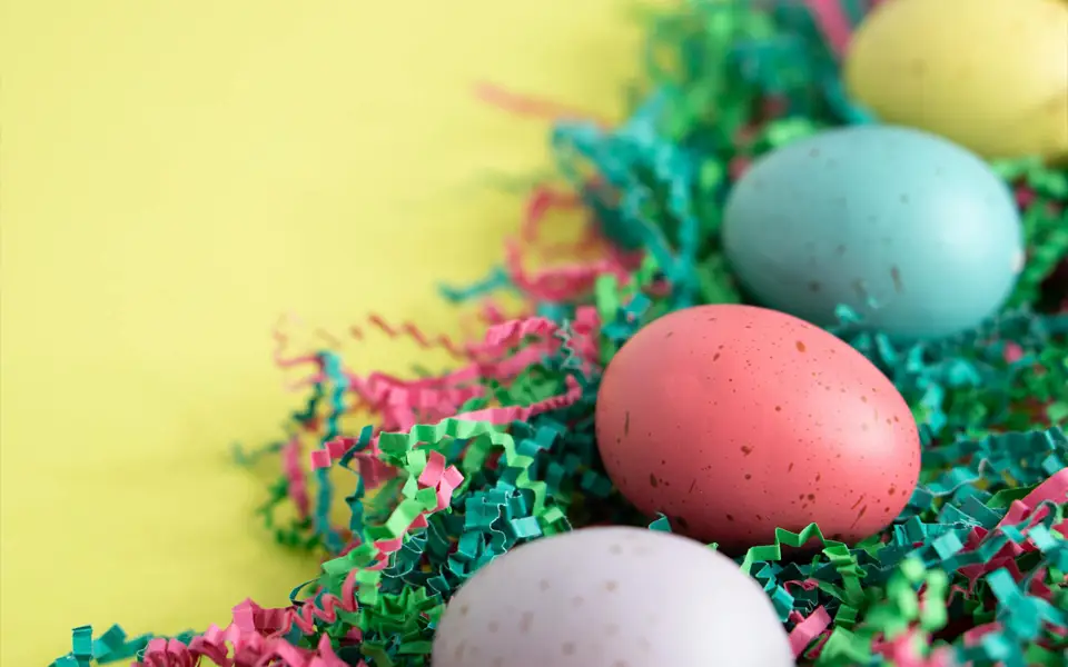 Kansas City Zoo and Aquarium Meet the Easter Bunny event in April 2026