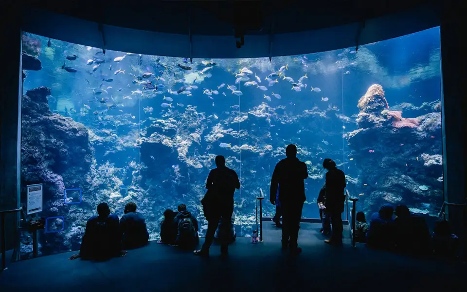 Party For The Planet Kansas City Zoo April 2026